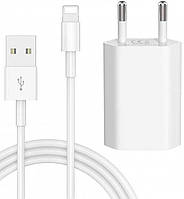 Комплект зарядки для iPhone Зарядное устройство 5W USB Power Adapter + Кабель Lightning to USB 1m