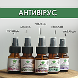 Набір гідролатів "Антивірус" 5х30мл (евкаліпт, лаванда, материнка, чебрець, пелюстки троянди), фото 2