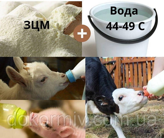 ЗЦМ для телят з 25 дня, фото 1
