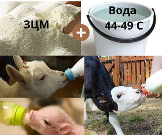 ЗЦМ для поросят, свиней з 10 днів 25 кг