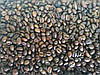 Ящик кави в зернах Garibaldi Versilia 1 кг (у ящику 10шт), фото 4