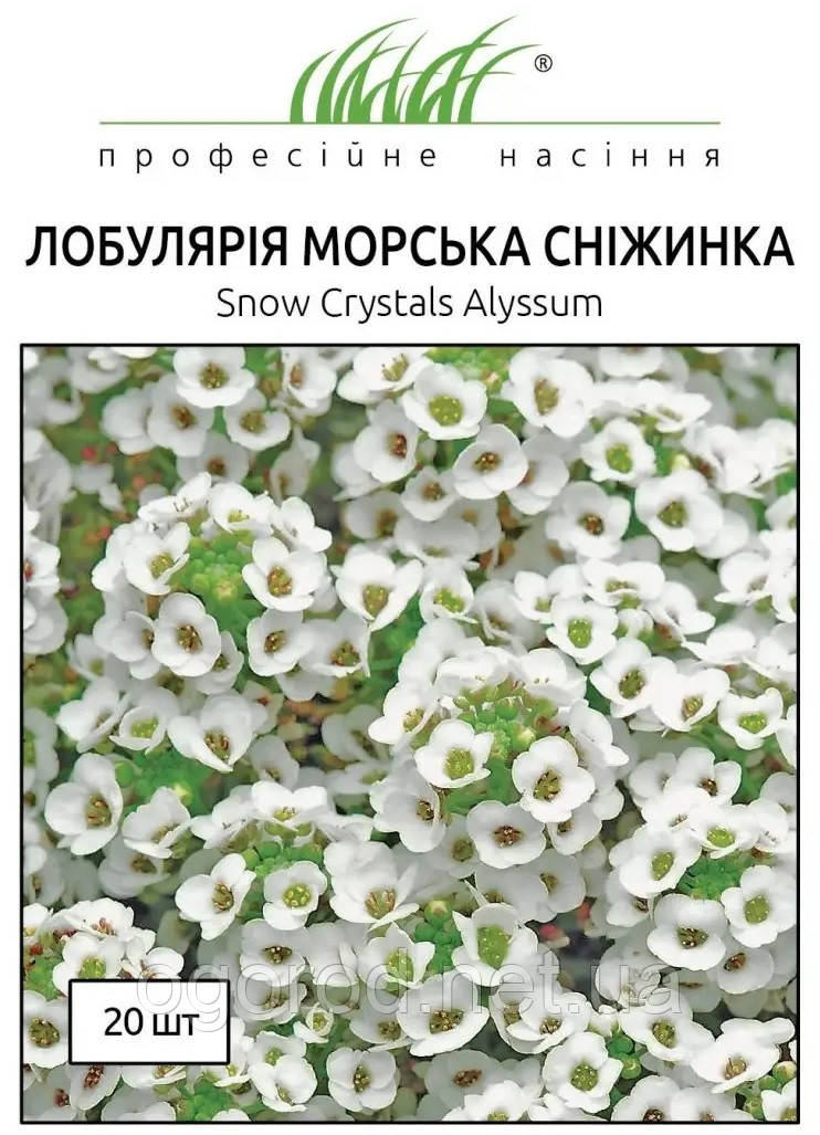 Насіння аліссуму Сніжинка(Snow Crystals) 20 шт Pan American