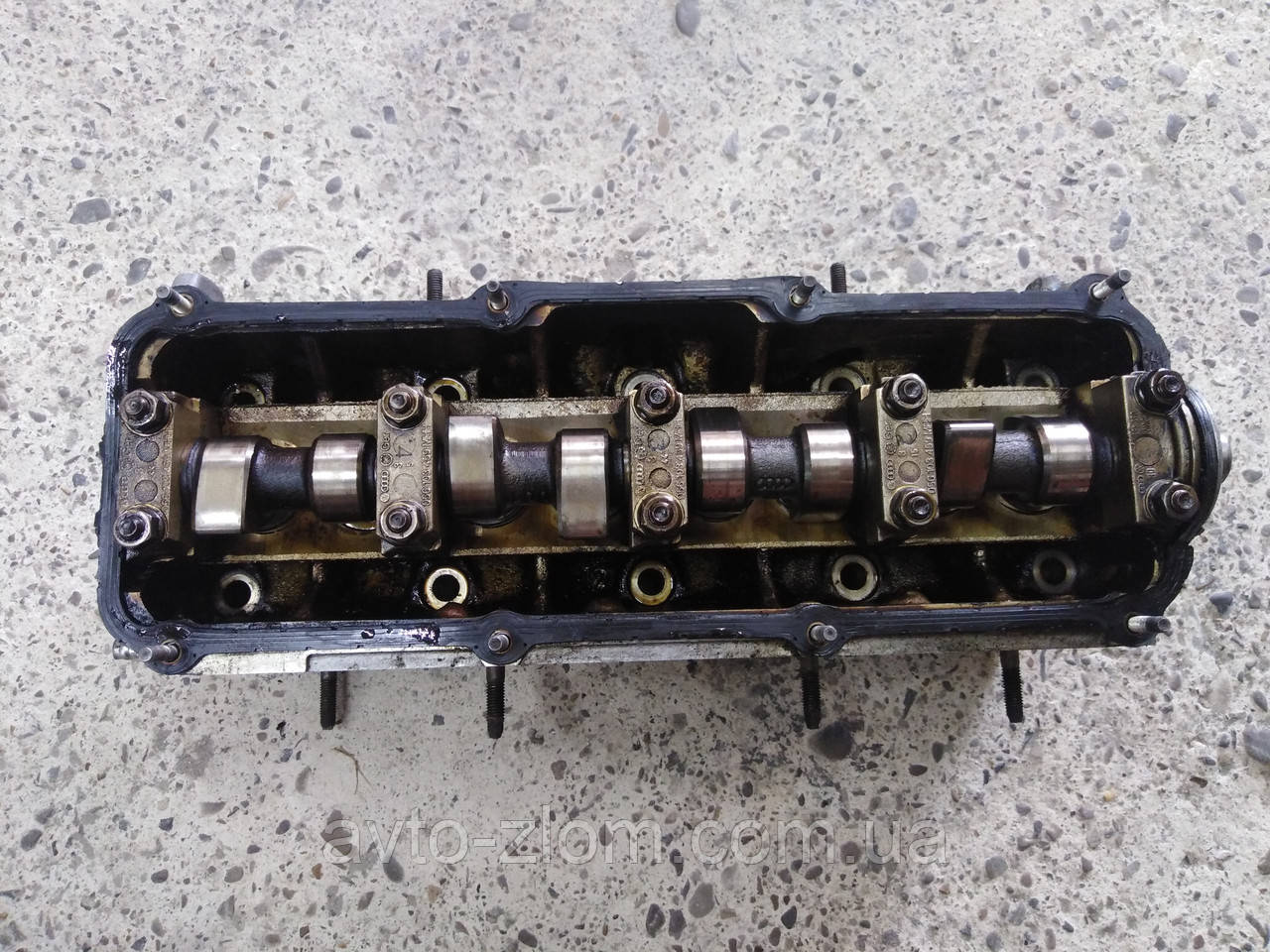Головка блока, ГБЦ Volkswagen Passat B5, Audi A4, Пассат Б5, Аудіо А4 1,6 8V (AKL). 06B103373A., фото 1