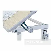 Зростаюча парта трансформер зі стільчиком FunDesk Piccolino II Grey 211460, фото 3