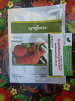 Семена томата Малдуо F1 (Syngenta), 500 семян ранний (80-90 дней), индетерминантный, высокорослый