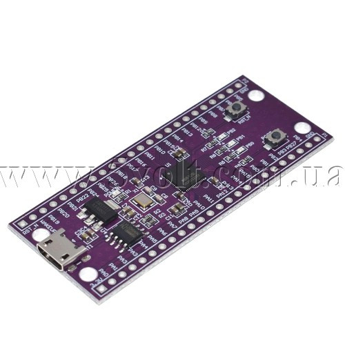 Плата розробника W806, фото 1