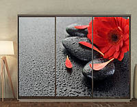 Наклейка для шкафа-купе 220 х 102 см на 3 двери цветок и камни (БП_в_fl10612)