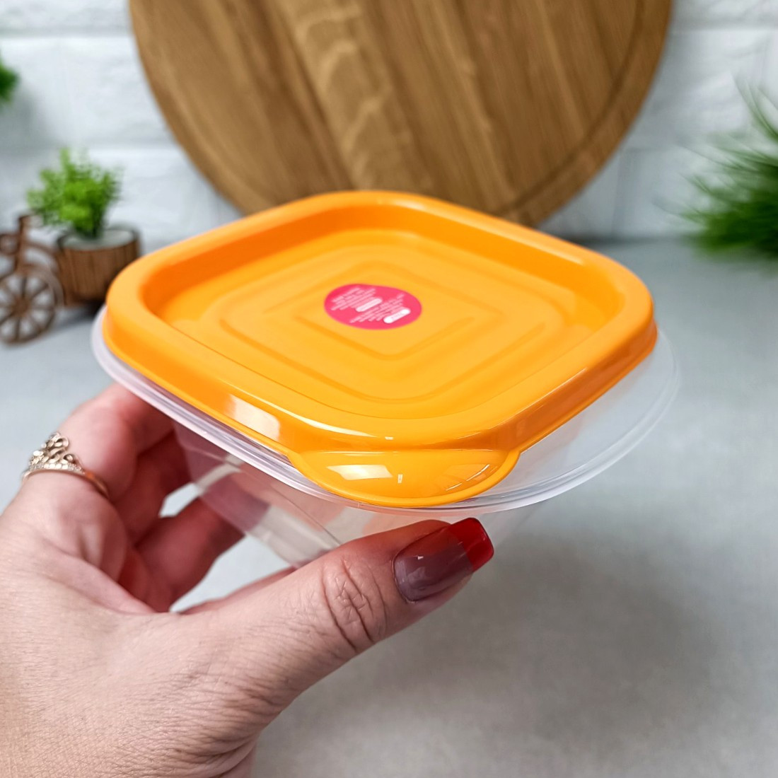 Маленький харчовий бокс 0.45 л Омега КЗХП Алеана, фото 1