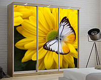 Наклейка для шкафа-купе 220 х 74 см на 3 двери цветы с бабочками (БП_в_fl10619)
