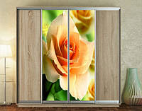 Наклейка для шкафа-купе 220 х 60 см на 2 двери персиковая роза (БП_а_fl10627)