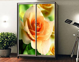 Наклейка на шафу-купе 220 х 60 см на 2  двері персикова троянда (БП_а_fl10627), фото 2