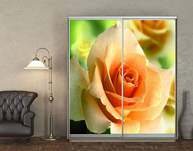 Наклейка на шафу-купе 220 х 60 см на 2  двері персикова троянда (БП_а_fl10627), фото 4