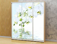 Наклейка для шкафа-купе 220 х 60 см на 3 двери белая орхидея (БП_в_fl10644)