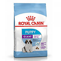 Royal Canin Giant Puppy сухий корм для цуценят гігантських порід собак від 2 до 8 місяців 15 кг