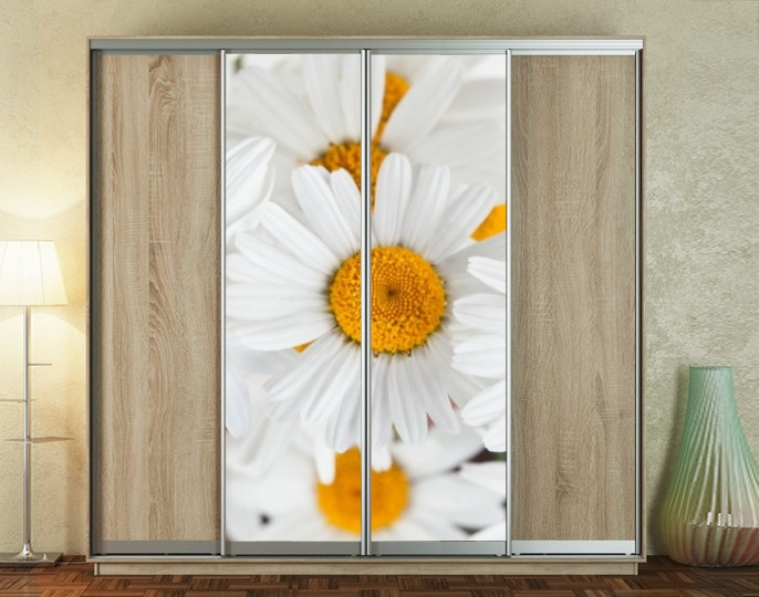 Наклейка на шафу-купе 220 х 60 см на 2  двері Букет ромашок (БП_а_fl10826)