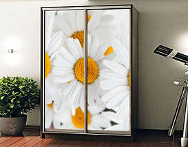 Наклейка на шафу-купе 220 х 60 см на 2  двері Букет ромашок (БП_а_fl10826), фото 2