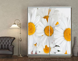 Наклейка на шафу-купе 220 х 60 см на 2  двері Букет ромашок (БП_а_fl10826), фото 3