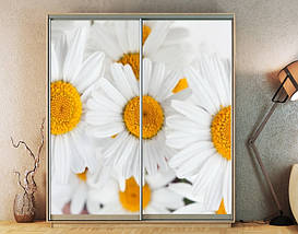 Наклейка на шафу-купе 220 х 60 см на 2  двері Букет ромашок (БП_а_fl10826), фото 4