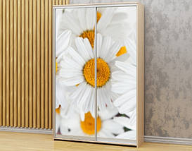 Наклейка на шафу-купе 220 х 60 см на 2  двері Букет ромашок (БП_а_fl10826), фото 5