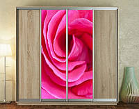 Наклейка для шкафа-купе 220 х 60 см на 2 двери розовая роза (БП_а_fl10854)