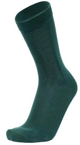 Шкарпетки чоловічі 2142 р.27-29 зелений