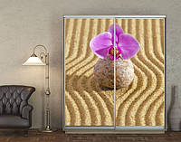 Наклейка для шкафа-купе 220 х 102 см на 2 двери цветок на песке (БП_а_fl10873)