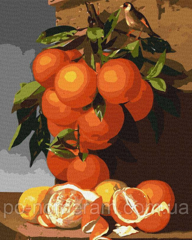 Акційна Картини за номерами Ідейка Апельсини та лимони (KHO5651) 40 х 50 см, фото 1