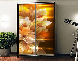 Наклейка на шафу-купе 220 х 60 см на 2 двері Квіти у вогні (БП_а_fl11364), фото 2