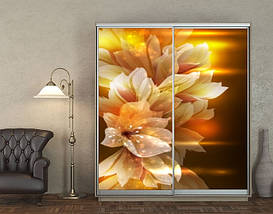 Наклейка на шафу-купе 220 х 60 см на 2 двері Квіти у вогні (БП_а_fl11364), фото 3