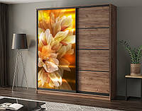 Наклейка для шкафа-купе 220 х 102 см на 1 дверь цветы в огне (БП_с_fl11364)