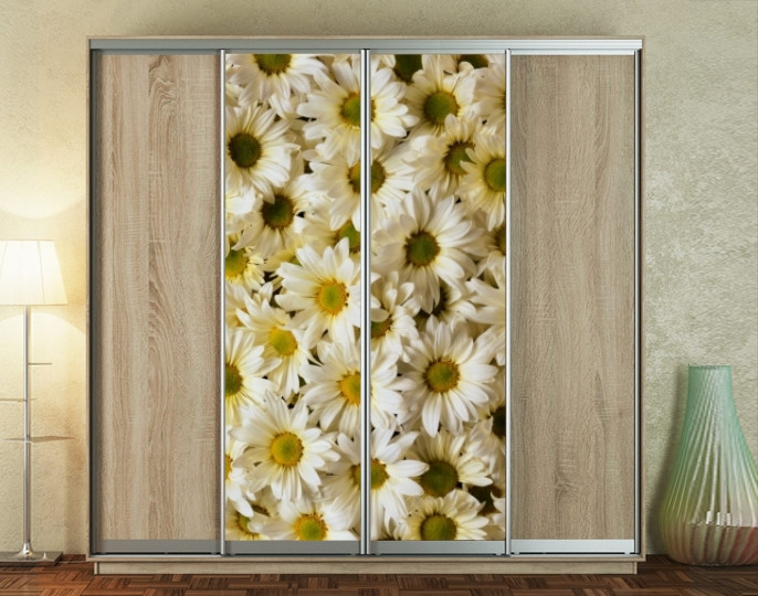 Наклейка на шафу-купе 220 х 60 см на 2  двері Хризантеми (БП_а_fl11661)