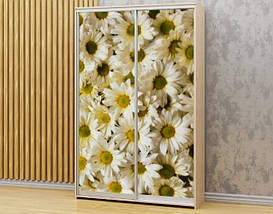 Наклейка на шафу-купе 220 х 60 см на 2  двері Хризантеми (БП_а_fl11661), фото 2