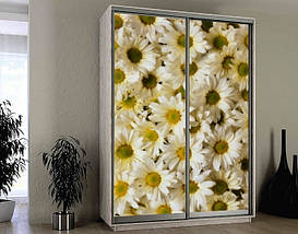 Наклейка на шафу-купе 220 х 60 см на 2  двері Хризантеми (БП_а_fl11661), фото 3