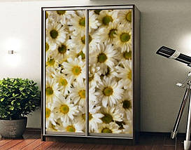 Наклейка на шафу-купе 220 х 60 см на 2  двері Хризантеми (БП_а_fl11661), фото 4