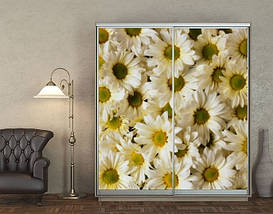 Наклейка на шафу-купе 220 х 60 см на 2  двері Хризантеми (БП_а_fl11661), фото 5