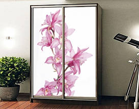 Наклейка на шафу-купе 220 х 60 см на 2 двері Гілка орхідеї (БП_а_fl12151), фото 2