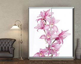 Наклейка на шафу-купе 220 х 60 см на 2 двері Гілка орхідеї (БП_а_fl12151), фото 3