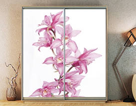 Наклейка на шафу-купе 220 х 60 см на 2 двері Гілка орхідеї (БП_а_fl12151), фото 4
