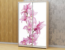 Наклейка на шафу-купе 220 х 60 см на 2 двері Гілка орхідеї (БП_а_fl12151), фото 5