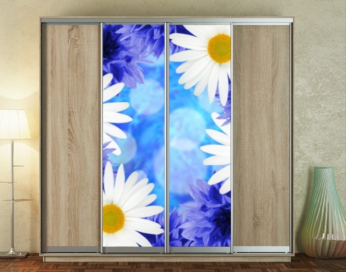 Наклейка на шафу-купе 220 х 60 см на 2  двері Ромашка (БП_а_fl12617)