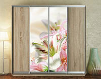 Наклейка для шкафа-купе 220 х 60 см на 2 двери букет цветов (БП_а_fl11834)