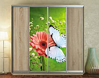 Наклейка для шкафа-купе 220 х 60 см на 2 двери бабочка на цветке (БП_а_fl11895)