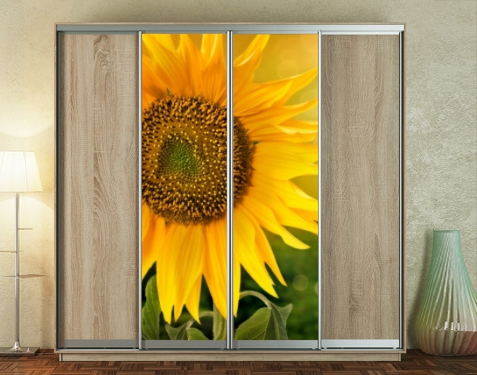 Наклейка на шафу-купе 220 х 60 см на 2  двері соняшник (БП_а_fl11958)