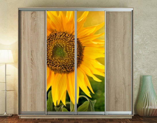 Наклейка на шафу-купе 220 х 60 см на 2  двері соняшник (БП_а_fl11958), фото 1