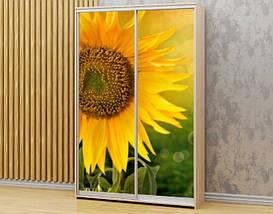 Наклейка на шафу-купе 220 х 60 см на 2  двері соняшник (БП_а_fl11958), фото 5