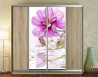Наклейка для шкафа-купе 220 х 60 см на 2 двери цветок над водой (БП_а_fl12044)