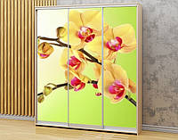 Наклейка для шкафа-купе 220 х 60 см на 3 двери ветка орхидеи (БП_в_fl12068)