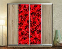Наклейка для шкафа-купе 220 х 60 см на 2 двери красные розы (БП_а_fl12424)
