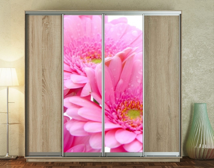 Наклейка на шафу-купе 220 х 60 см на 2 двері георгіни (БП_а_fl12434)