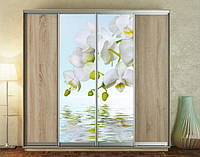 Наклейка для шкафа-купе 220 х 60 см на 2 двери белая орхидея (БП_а_fl12460)